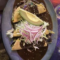 Mole Enchiladas con champiñones y nopales   at El Apapacho in Merida