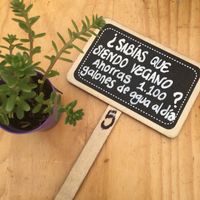 Mensajes  at Puro Zumo in Bogota