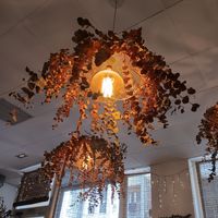  at La Voladora in Alicante