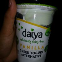 greek yoghurt  at Mr. Tofu in Playa Del Carmen