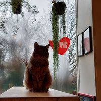  at Les Bols d'Antoine in Paris