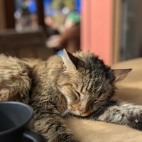  at Les Bols d'Antoine in Paris