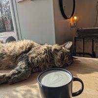  at Les Bols d'Antoine in Paris