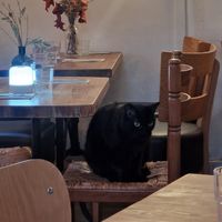  at Les Bols d'Antoine in Paris