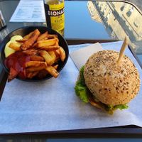 Wild at The Wild Note in Bordeaux