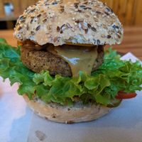 The wild at The Wild Note in Bordeaux