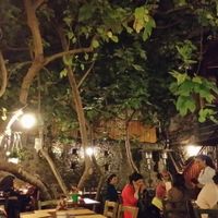 The beautiful patio in the back.  at Haiku in Catania