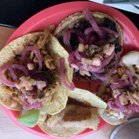 Yum at Ta'consciente in Playa Del Carmen
