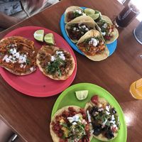 Best vegan tacos  at Ta'consciente in Playa Del Carmen