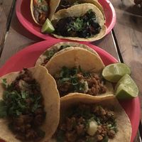 One of every taco they had — and all delicious and meat-eater-approved! at Ta'consciente in Playa Del Carmen