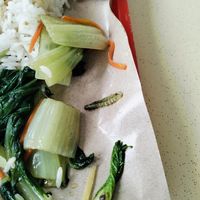 Found a caterpillar. at San De Vegetarian 三德 - Blk 747 Yishun in North Singapore