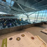 View at LHR - Wagamama - T5 in West London