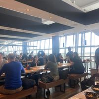 Inside   at LHR - Wagamama - T5 in West London