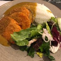 Katsu at LHR - Wagamama - T5 in West London