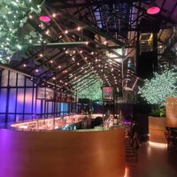 Bar at Alibi in Sydney