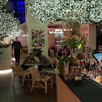 View from bar at Alibi in Sydney