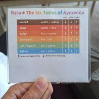 A little laminated paper with educational information on Ayurveda at Ayurvedico Cafe in Pokhara