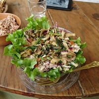 Mushroom salad at Ayurvedico Cafe in Pokhara