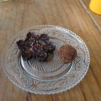 Truffle and chocolate at Ayurvedico Cafe in Pokhara