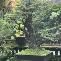   at Zest Ubud in Ubud