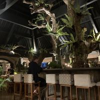   at Zest Ubud in Ubud