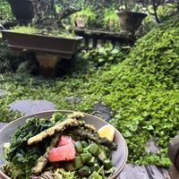 Green bowl to ground 🌿  at Zest Ubud in Ubud