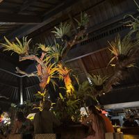   at Zest Ubud in Ubud