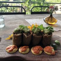 Pulled bbq jackfruit wrap at Zest Ubud in Ubud