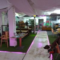 The Lounge at The Space in Glasgow