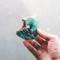 Raw donut at Acai Brothers in Port Melbourne