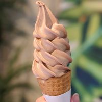 Vegan chocolate oat milk soft serve at Everyday Vegan Grocer - Online only in Central Singapore