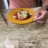 The vegetarian choice of vegetable gratin   at Vegetalia in Fuengirola