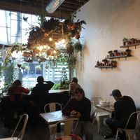 Cute place with a lot of plants & decorations, more seating in back as well  at Bae Bae's Kitchen in Pittsburgh