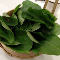 Greens for vegan hotpot at Wutai Yun Vegan & Organic Restaurant, grown on their own organic farm. at Wutai Yun in Beijing
