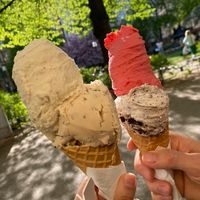 2 scoops each, large!  at StikkiNikki - Mariatorget in Stockholm