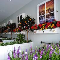 Such a relaxing atmosphere ♡

We were the first customers of the day

Sunday Morning  at Loving Hut in Cabramatta