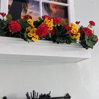 Renovated interior, Dec 2019 at Loving Hut in Cabramatta