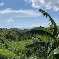   at Vegan Soul Kitchen in Penida Island