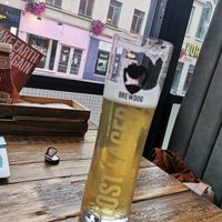 Lost AF (be aware - not vegan!) at BrewDog in Sheffield