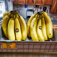 Banana at Fruit Box 白香果 - Tiong Bahru Plaza in Central Singapore