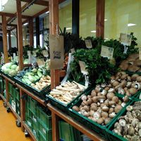 Vegetable display, clear indication of place of origin at LPG Biomarkt - Charlottenburg in Berlin