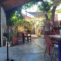 Inside at Mi Vegano Favorito in San Jose Del Cabo