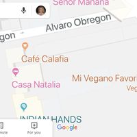 Here they are as shown on Google. Happy Cow directions are incorrect. at Mi Vegano Favorito in San Jose Del Cabo