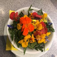 Wildherb salad at Pizzeria San Antonio in St Anton Am Arlberg