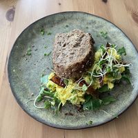   at Wildgroei in Delft