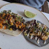 Vegan tacos at South Street Kitchen in Sheffield