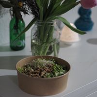 Japanese Bowl at Nährstoff-Reich in Bochum