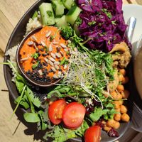 Oriental Bowl, sehr lecker - Natur-Basmatireis, Wildkräutersalat, planted.chicken (vegan), Kichererbsen, Marinierter Rotkohl, Cherrytomaten, Gurke, Cranberries, Petersilie, Sonnen at Nährstoff-Reich in Bochum