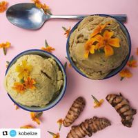 Golden Milk Vegan Ice-cream our Turmeric Latte Ice-cream ..DELICIOUS!!! at Martha's Cafe Belize in Belize City