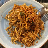 Salt and Pepper Termitomyces Fungi at Gong De Lin in Box Hill